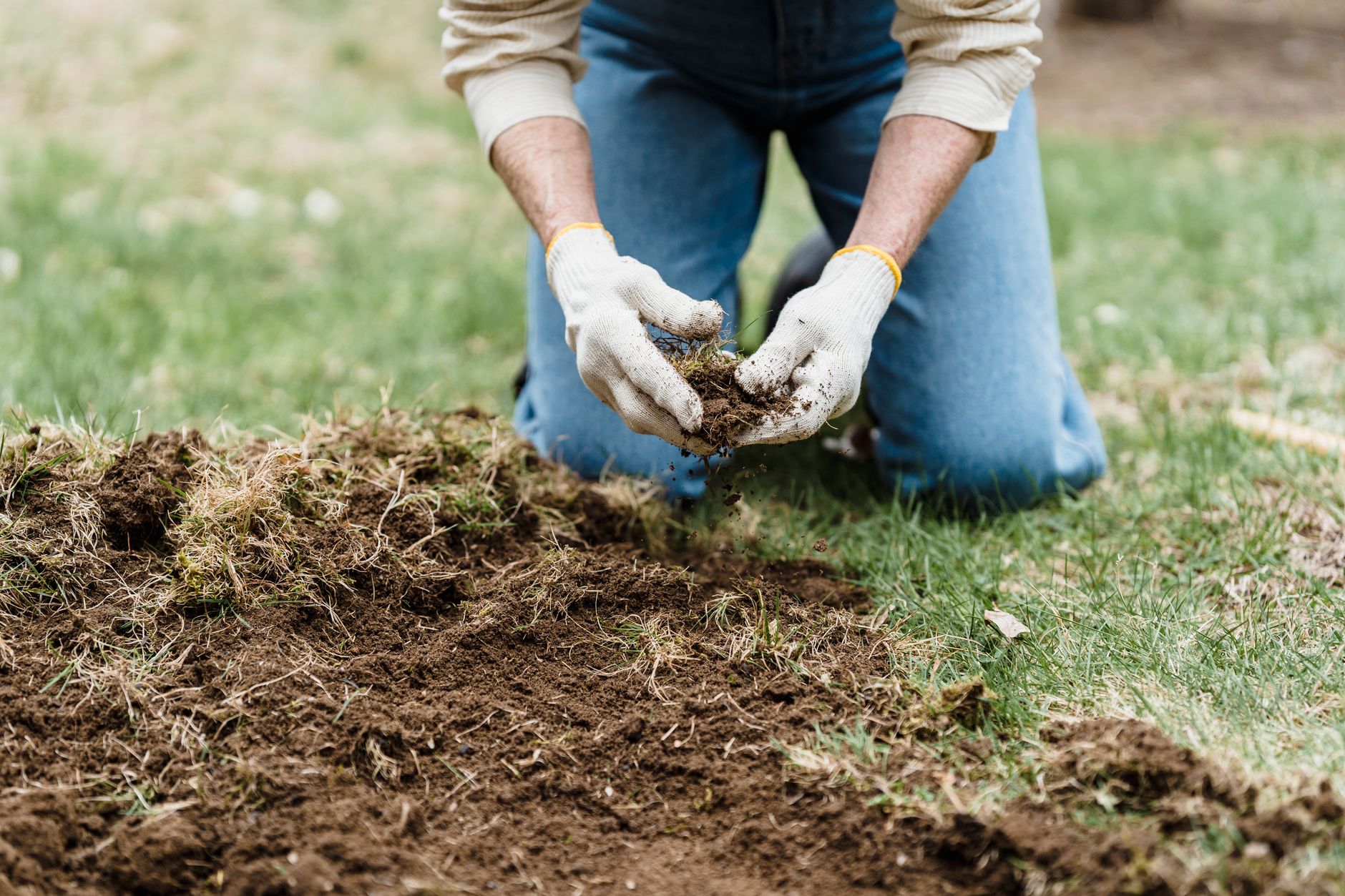 Gloved hands working in garden soil