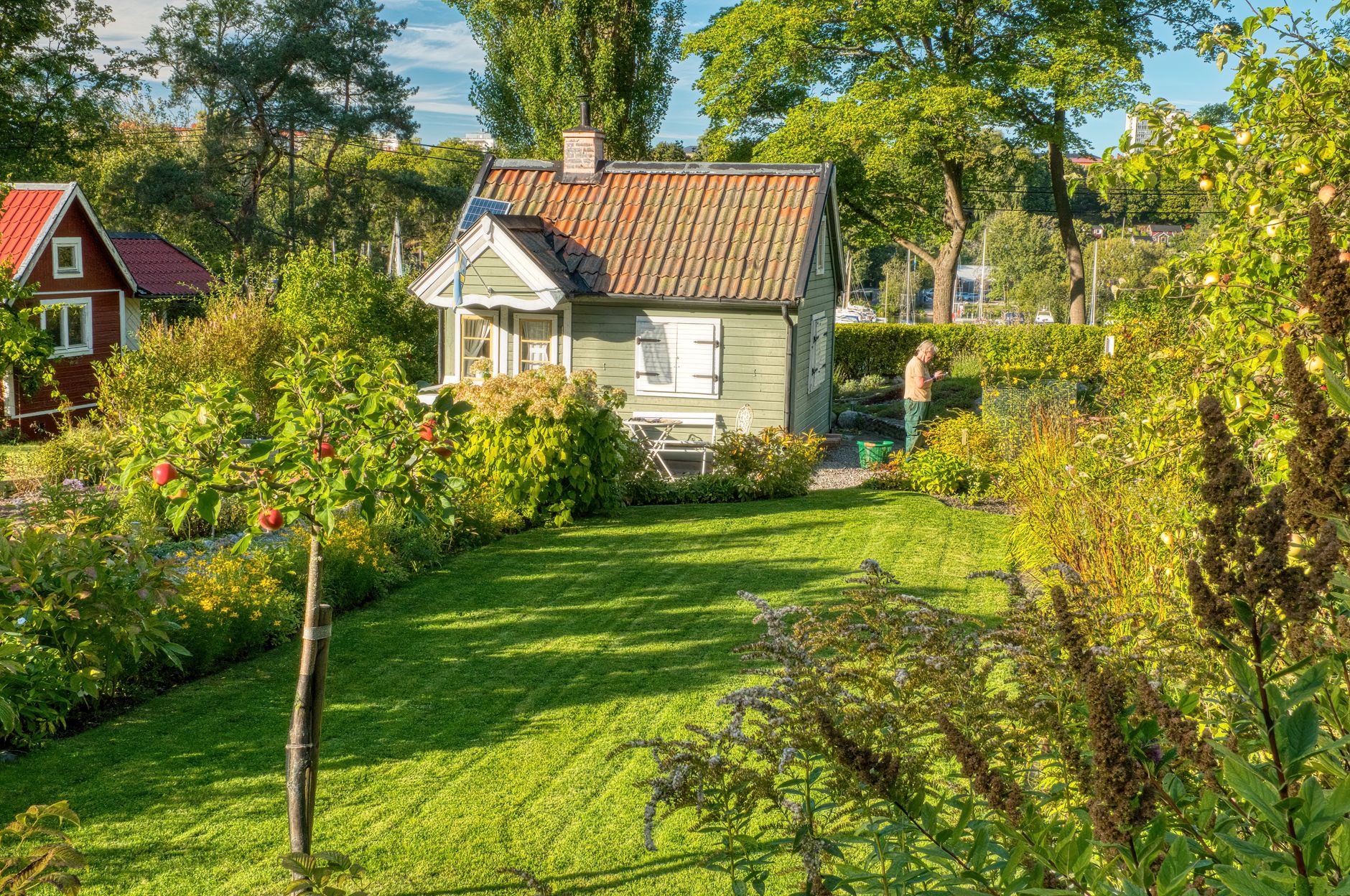 A backyard garden next to a house