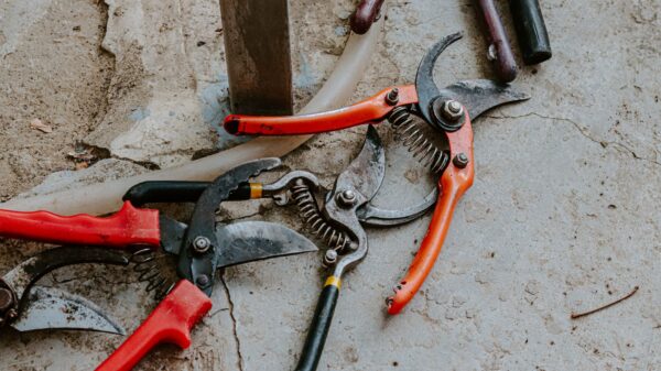 Best garden tool set: hand tools laid out beside a garden bed