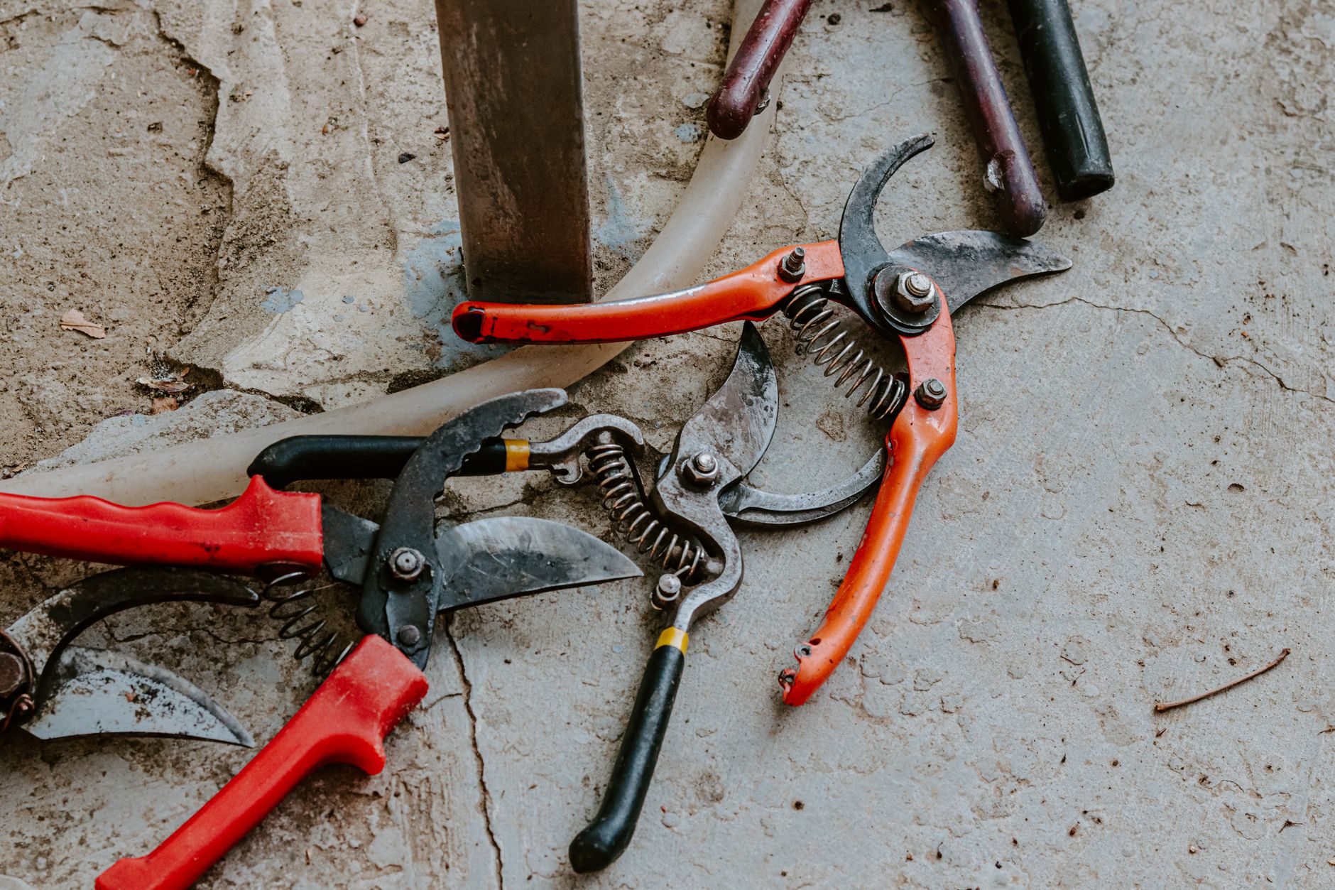 Best garden tool set: hand tools laid out beside a garden bed