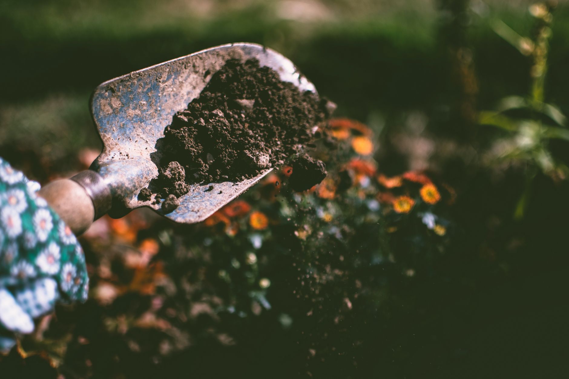 A flower bed with freshly turned soil