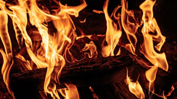 Best gas fireplace logs: flames around logs in a fireplace