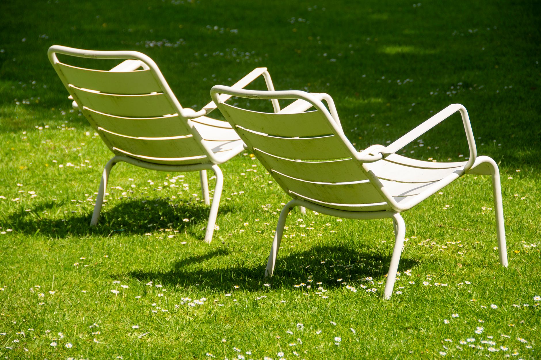 Outdoor chairs set out on a backyard lawn