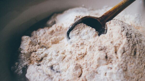 Best grain mill: whole wheat flour with a wooden scoop