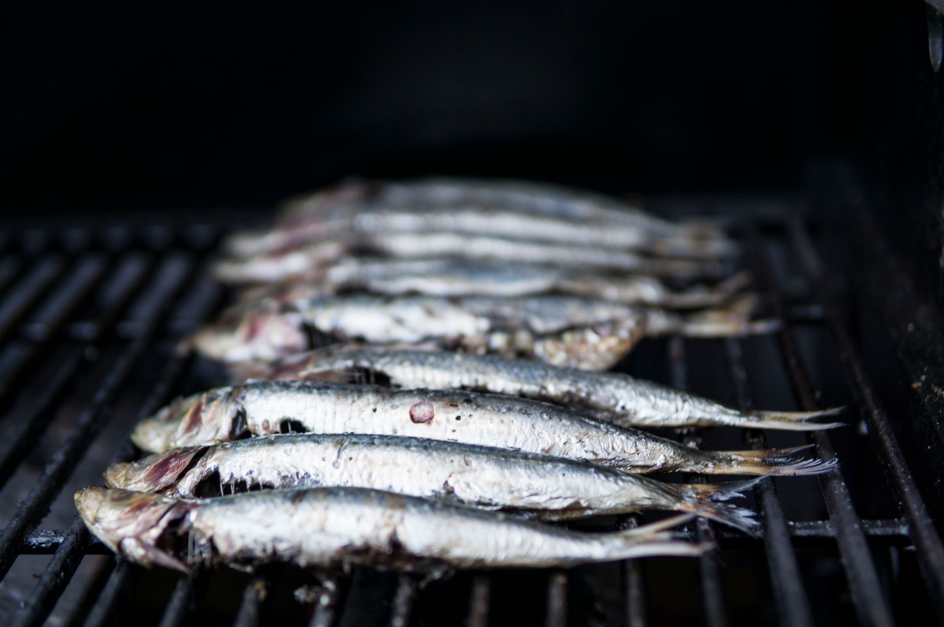 Sardines cooking on a barbecue grill