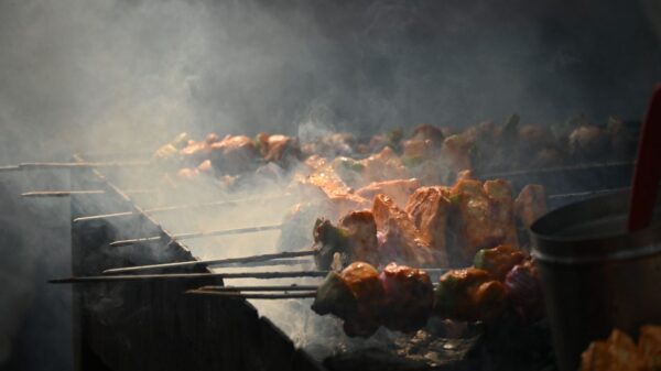 Best grill skewers: kebabs cooking on an outdoor grill