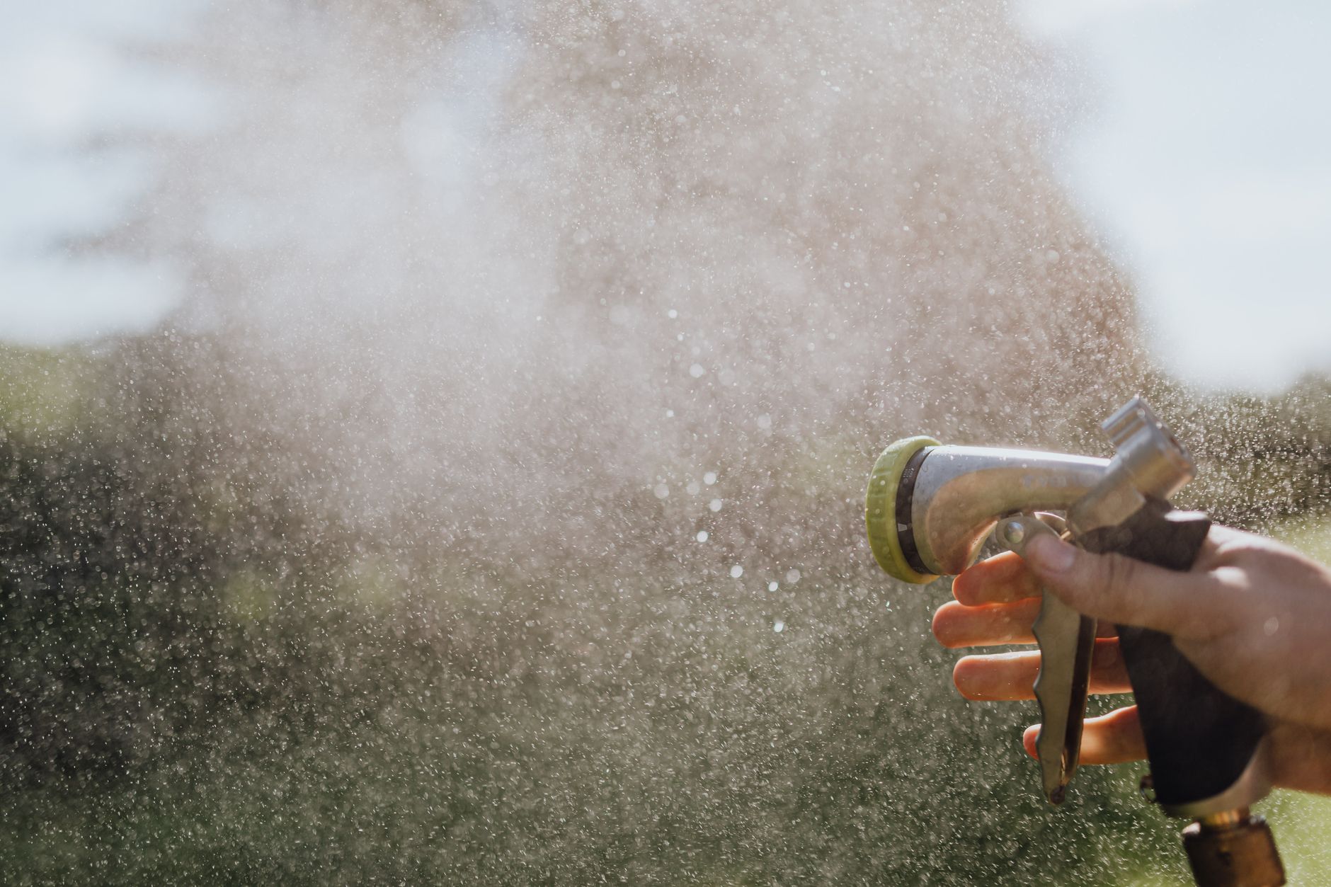 Water spraying from a garden hose