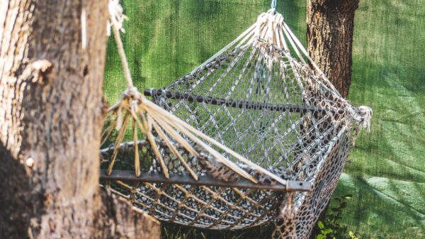 Best hammock: a hammock hanging between trees in a backyard