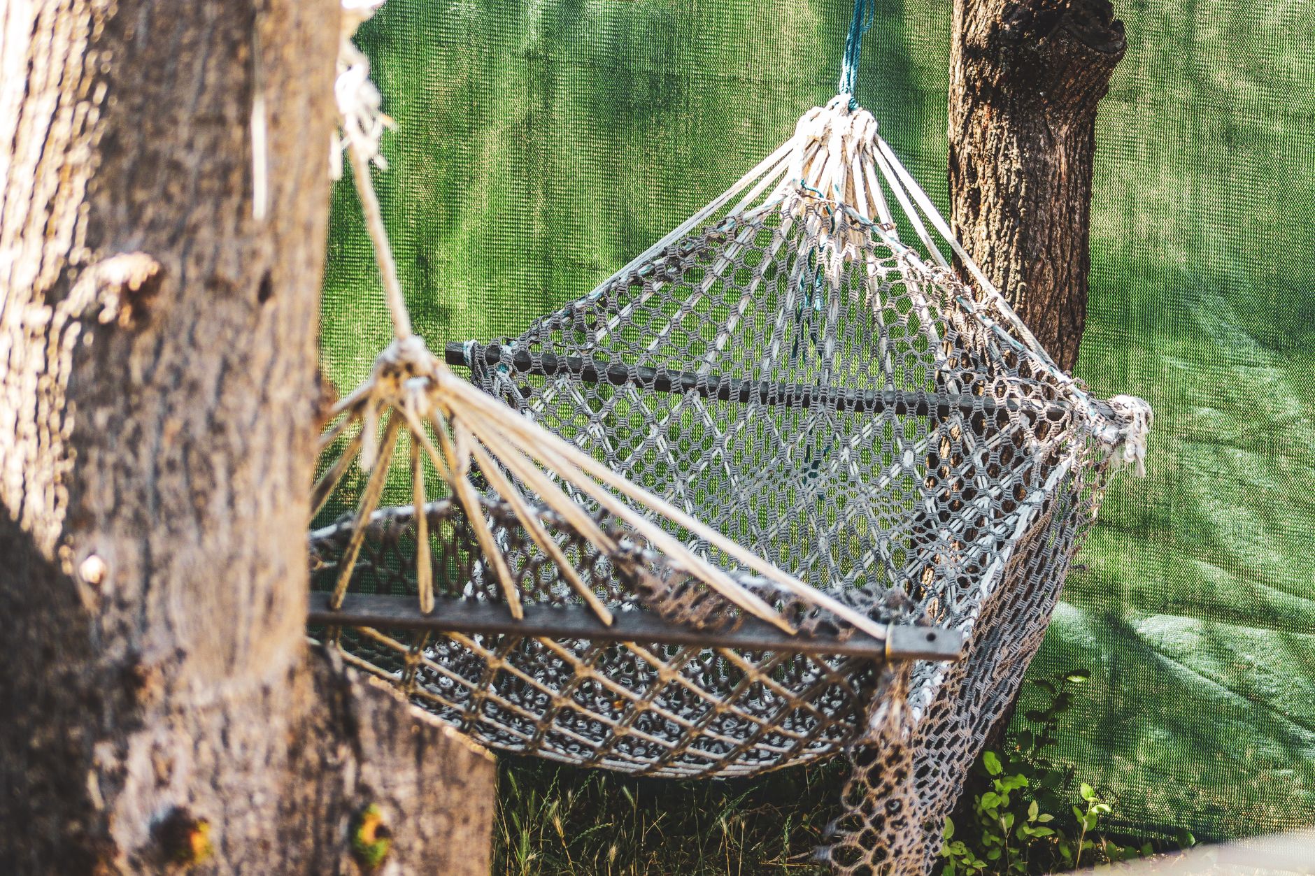 Best hammock: a hammock hanging between trees in a backyard