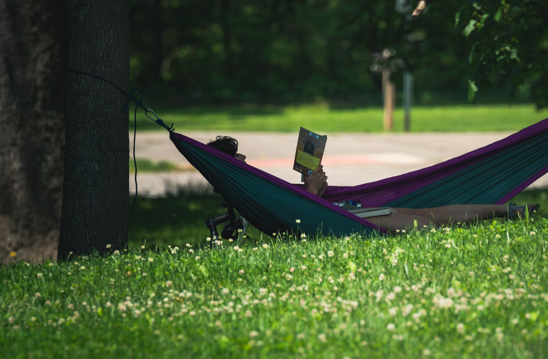 A person relaxing with a book in a hammock