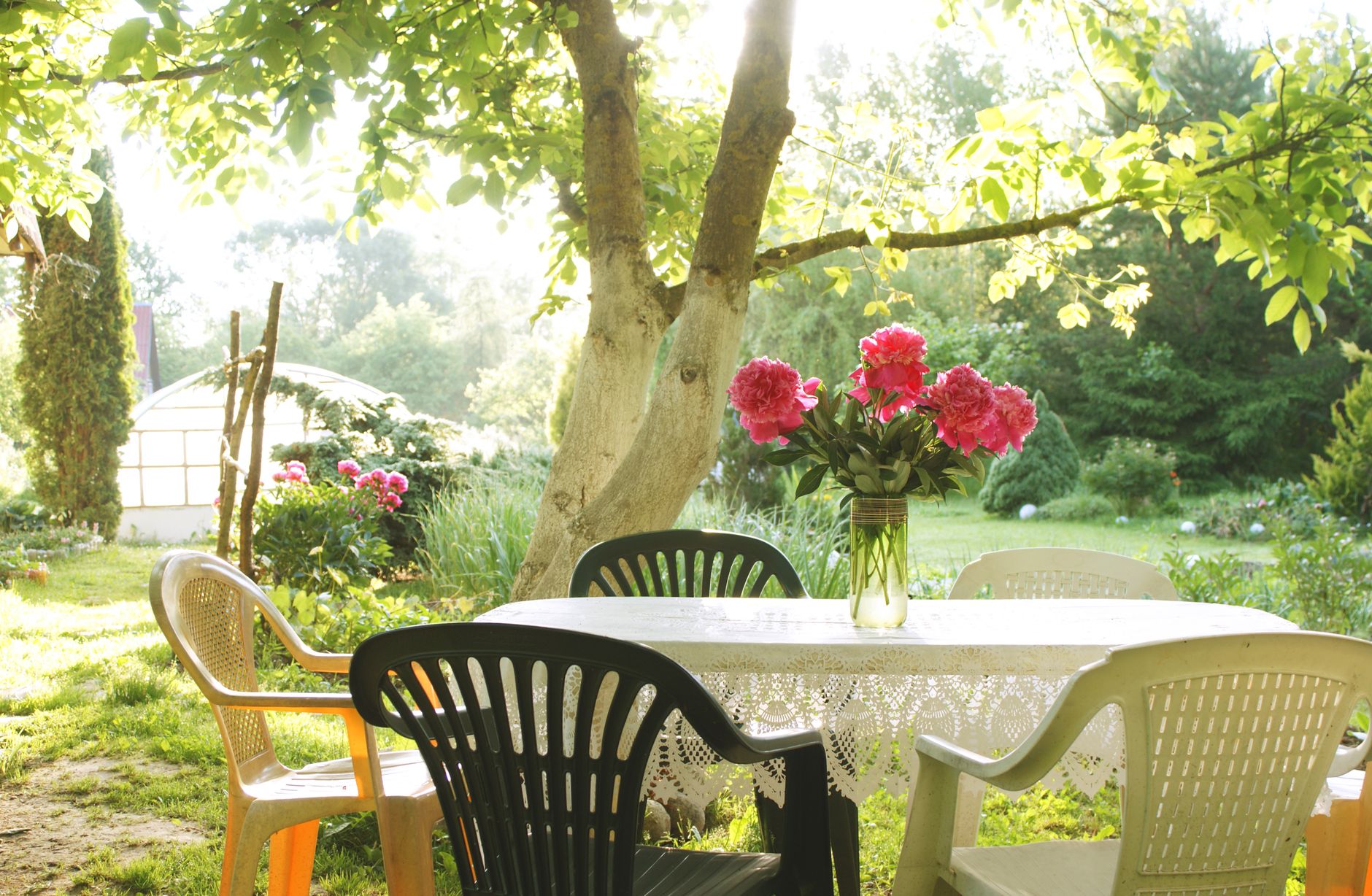 A backyard patio on a summer afternoon