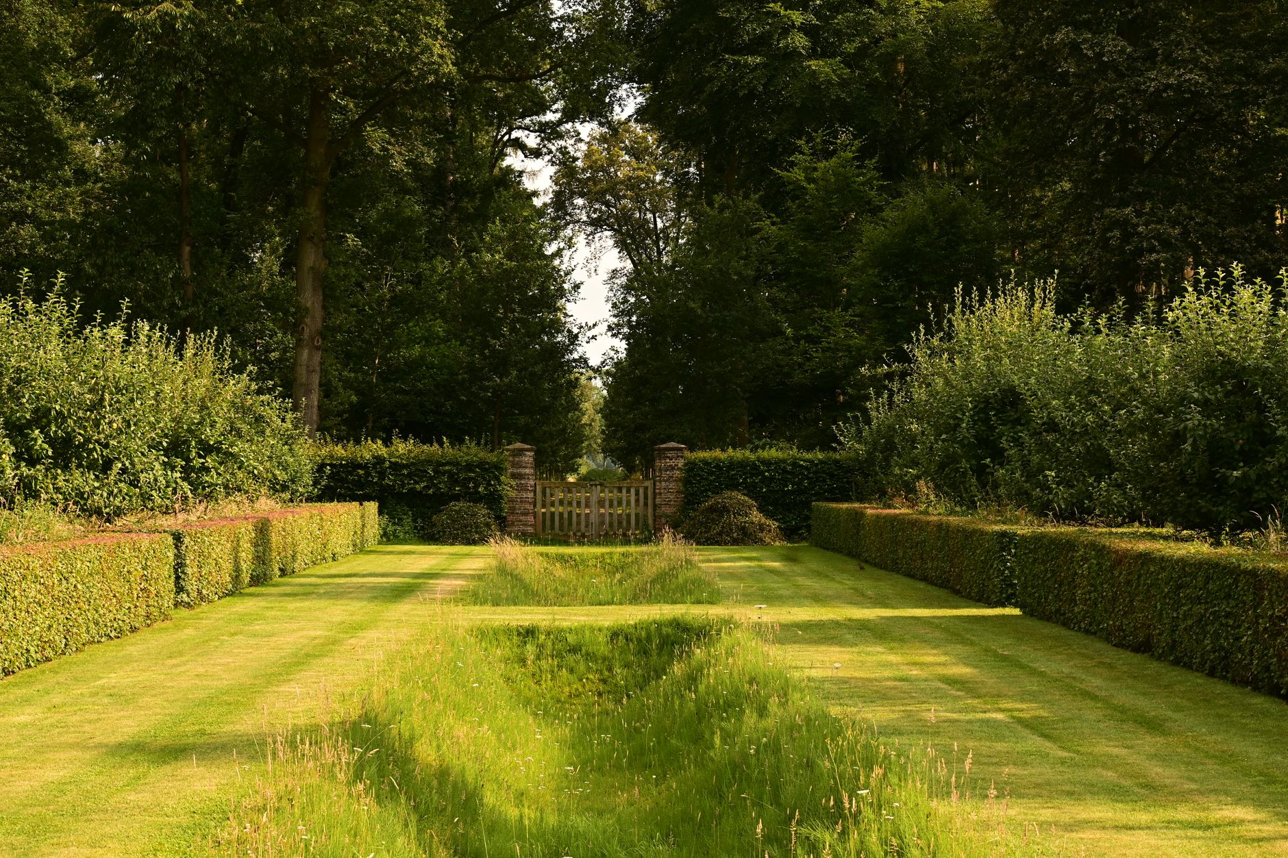 A lawn walkway between formal hedges