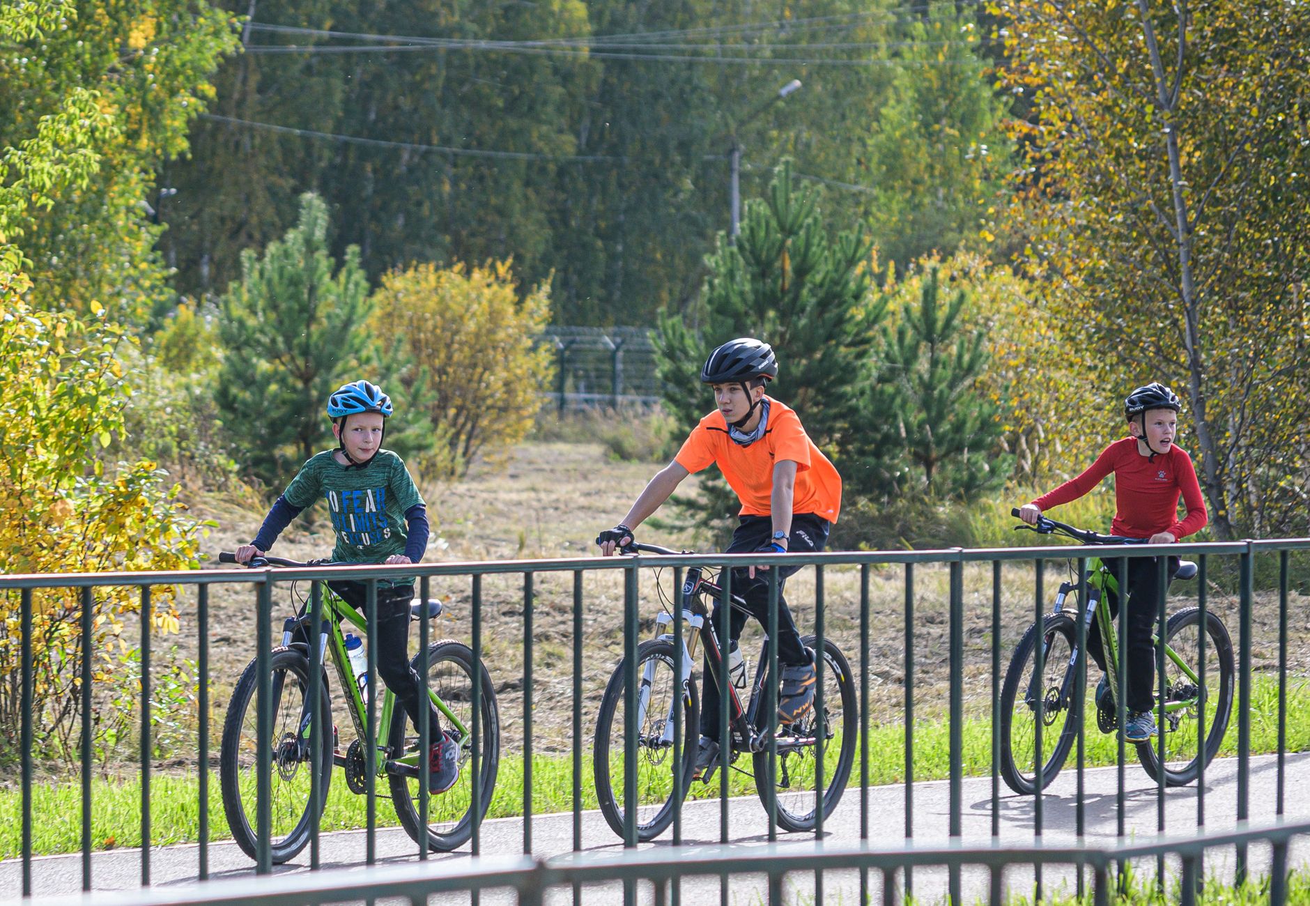 A family riding bicycles together on a park path
