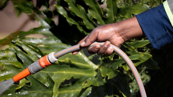 Best hose nozzle: watering plants with a hose and spray nozzle
