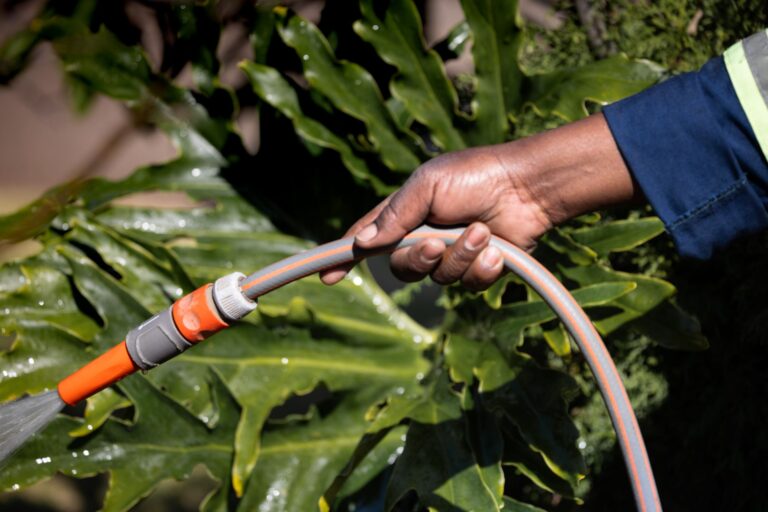Best hose nozzle: watering plants with a hose and spray nozzle