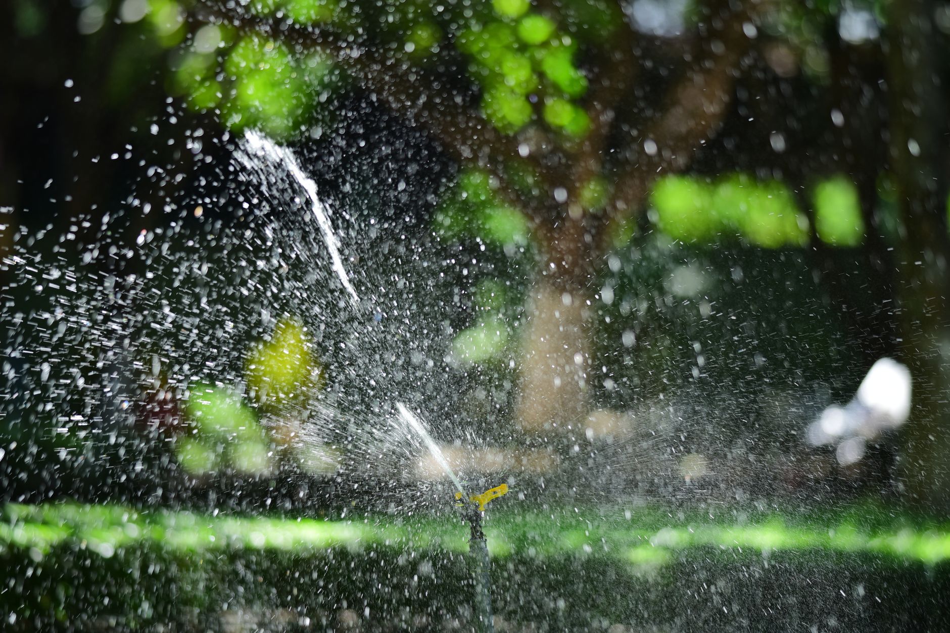 Water spraying across a lawn