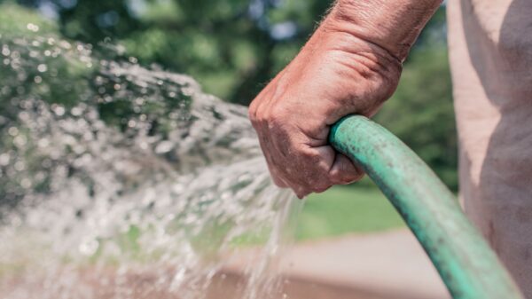 Best hose splitter: water flowing from a garden hose