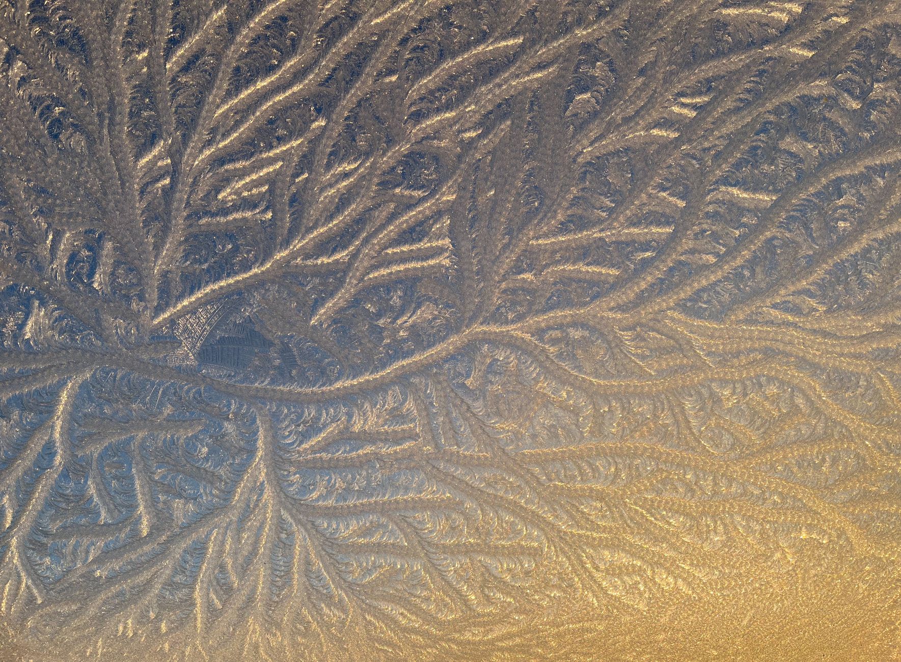 Frost patterns on a window pane
