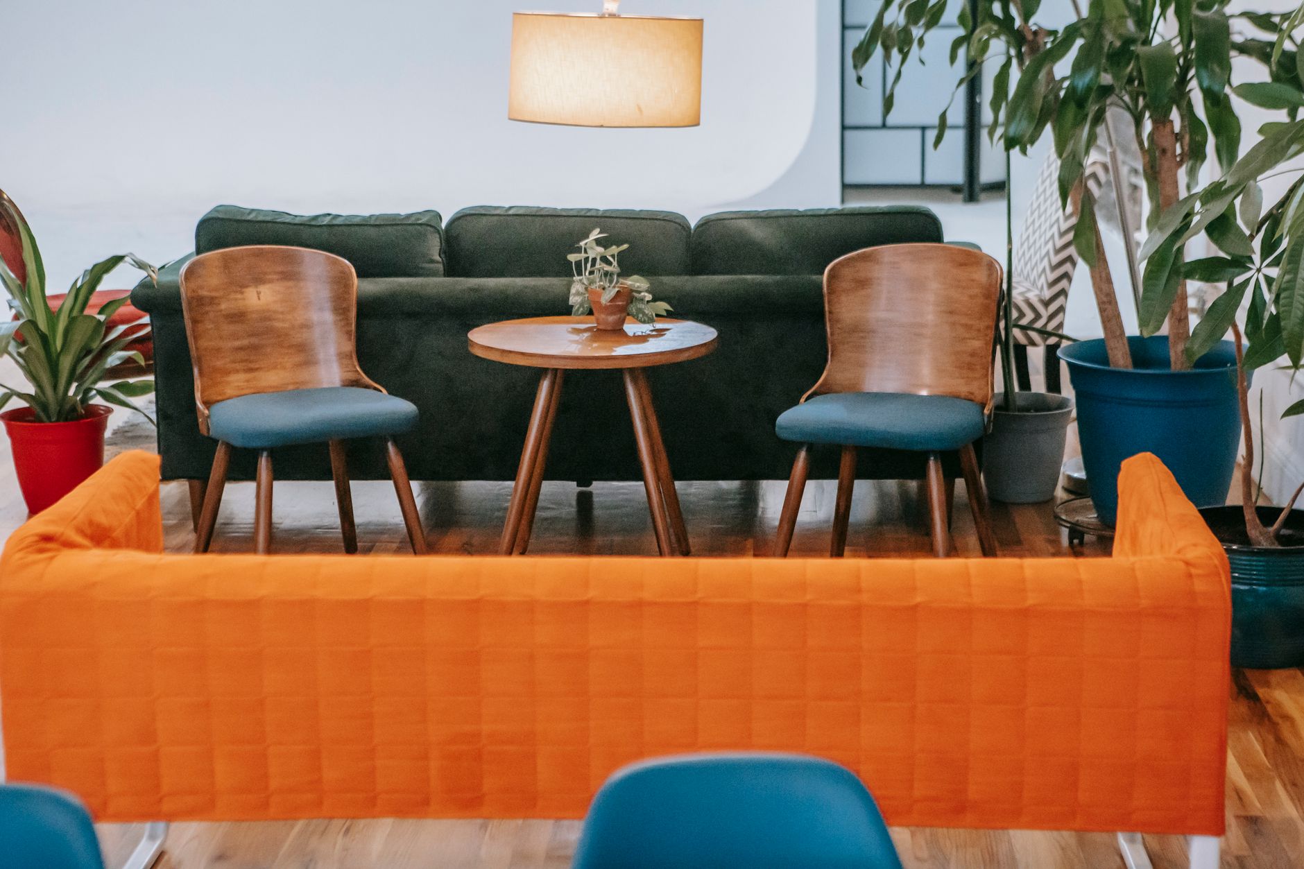 A living room with an orange sofa and plants