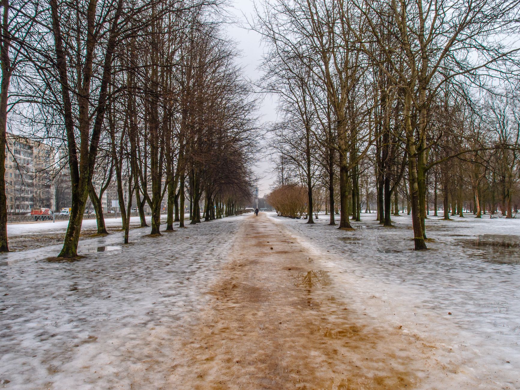 A slushy path through a tree-lined park