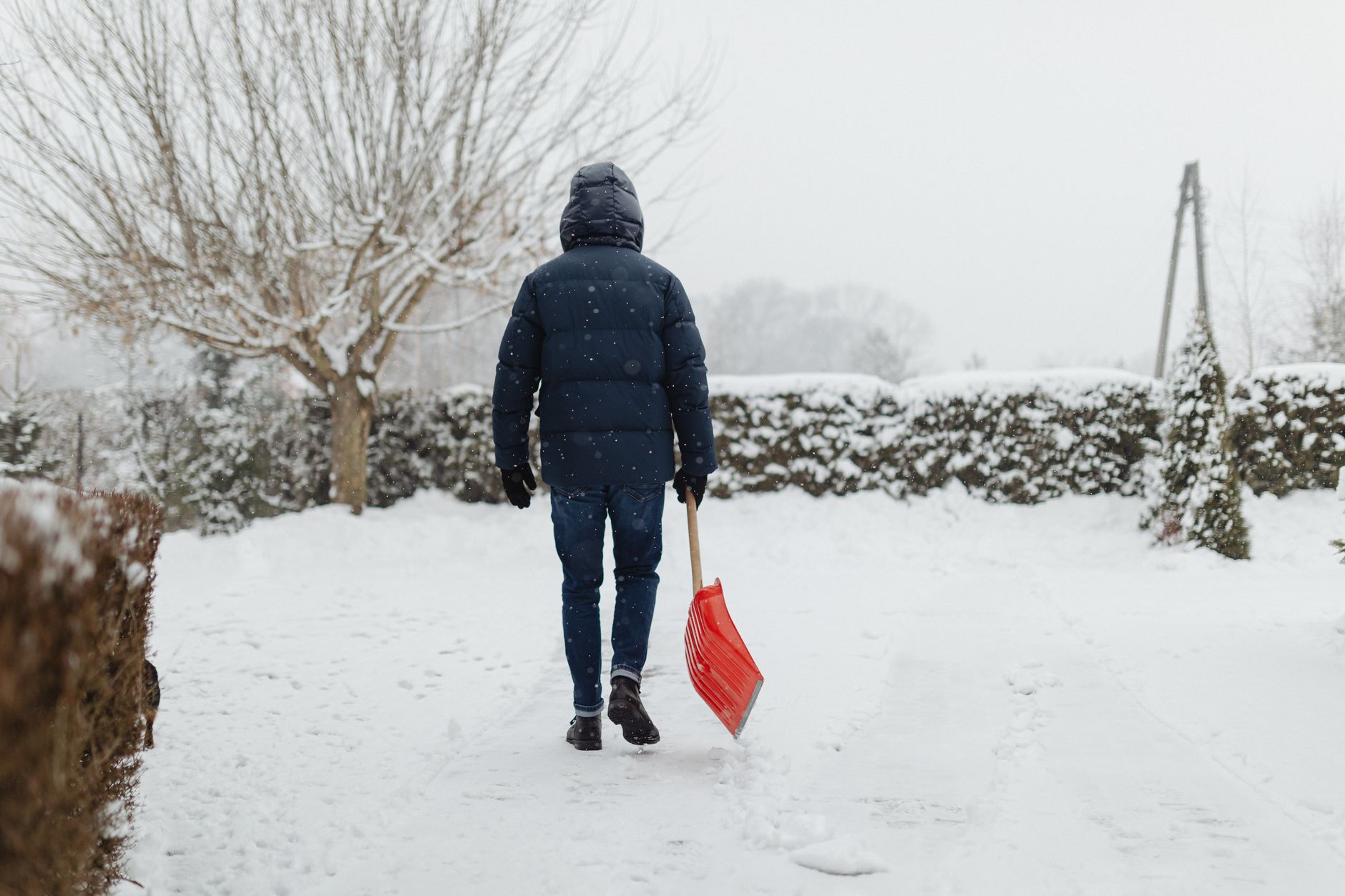 A person carrying a snow shovel in a yard