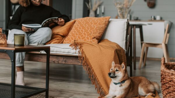 A woman reading on a sofa with her dog