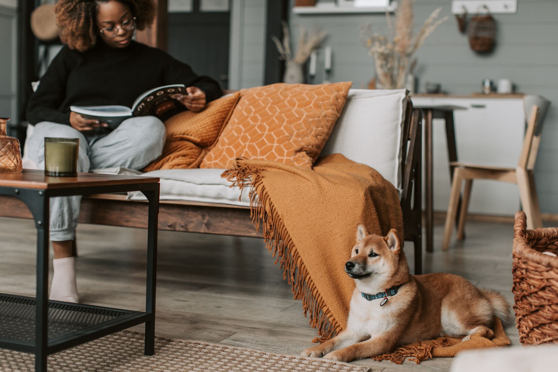A woman reading on a sofa with her dog