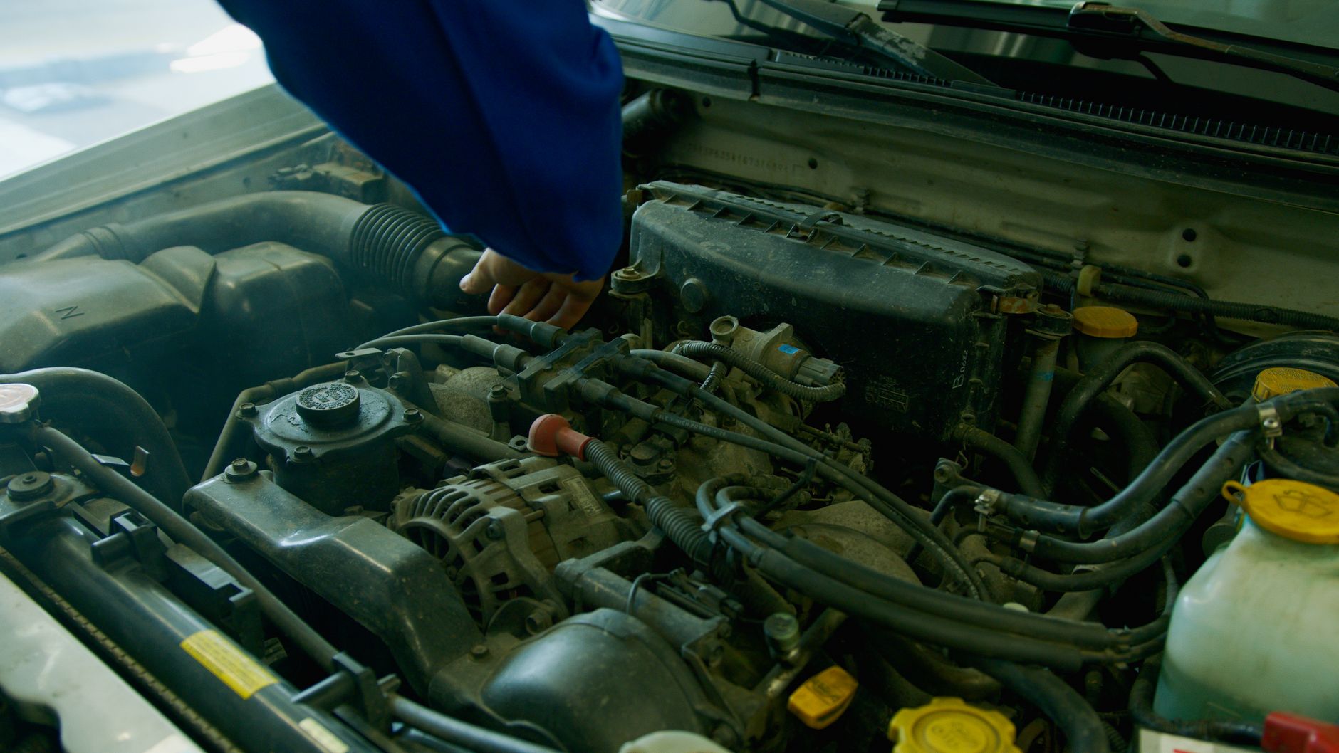 The engine bay of a car