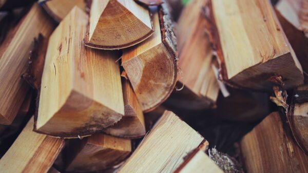 Best kindling splitter: small sticks of kindling ready for a fire