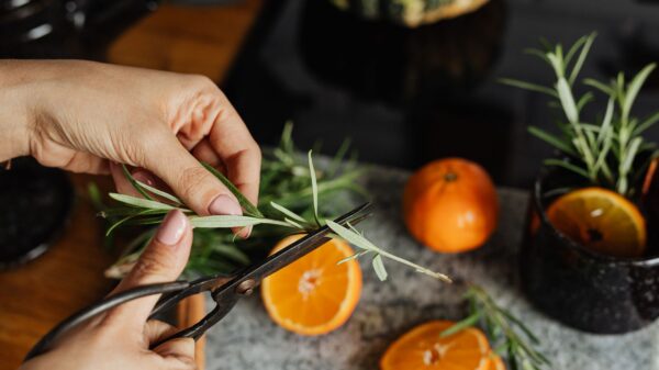 Best kitchen shears: snipping fresh rosemary with scissors