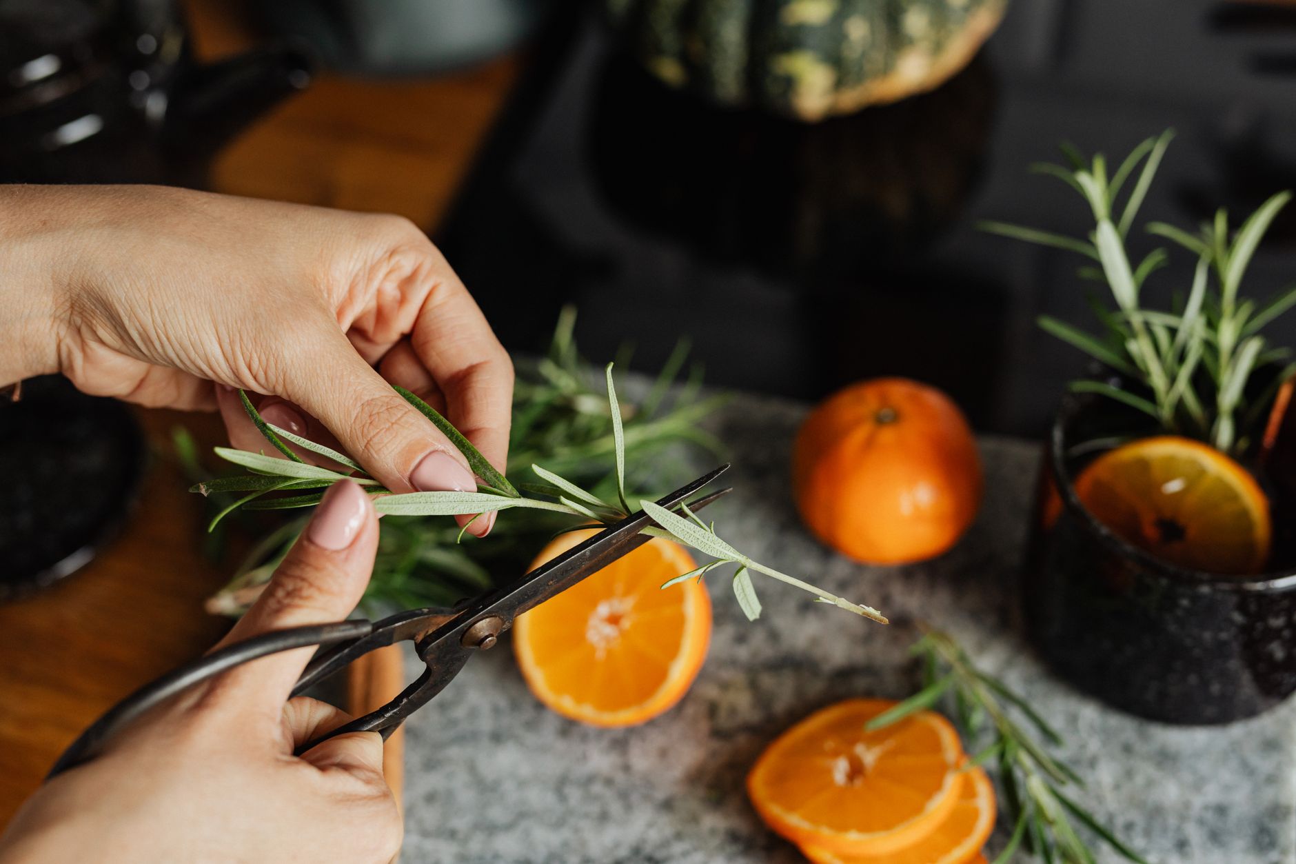Best kitchen shears: snipping fresh rosemary with scissors