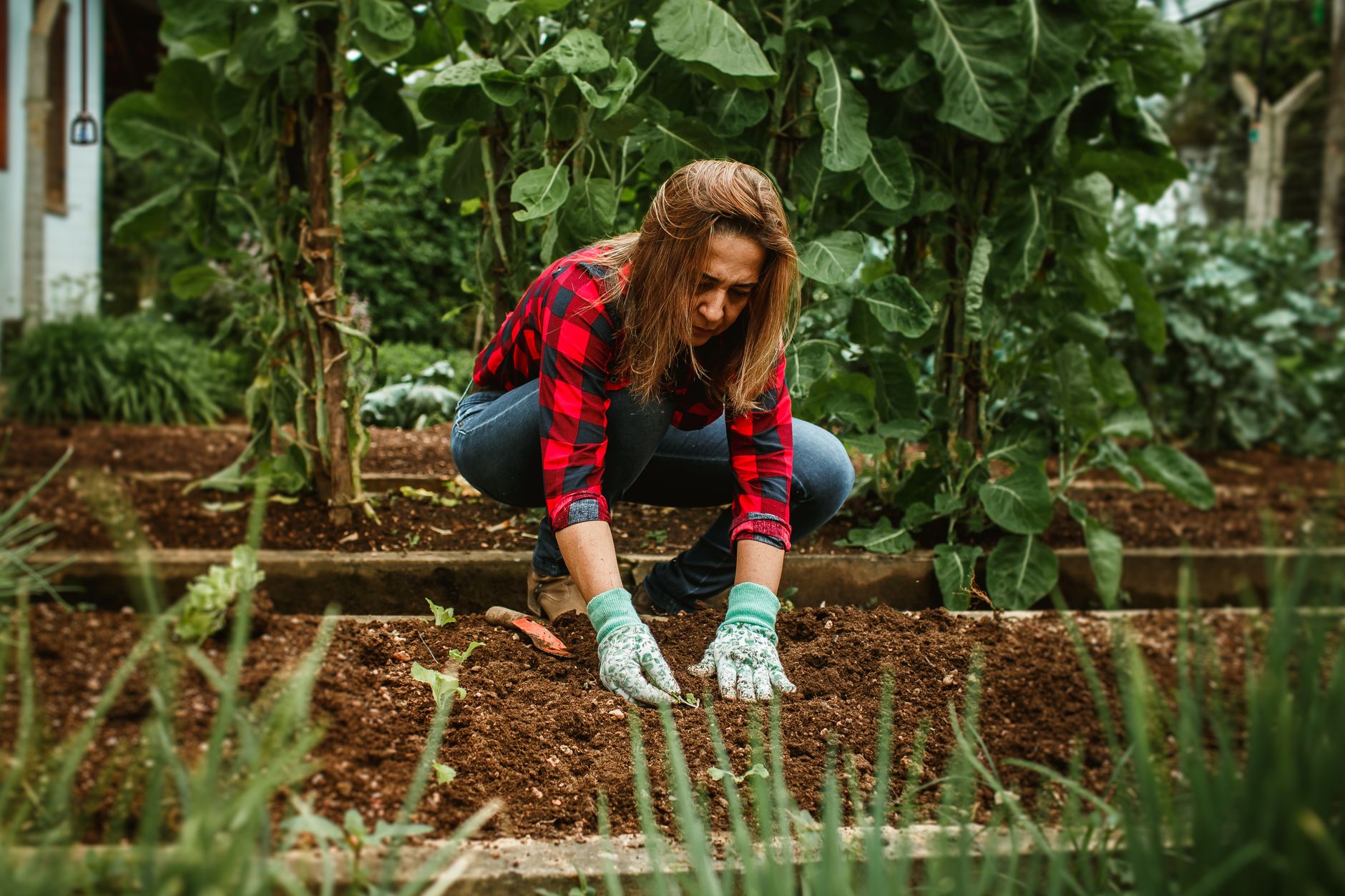 A gardener kneeling beside a planting bed