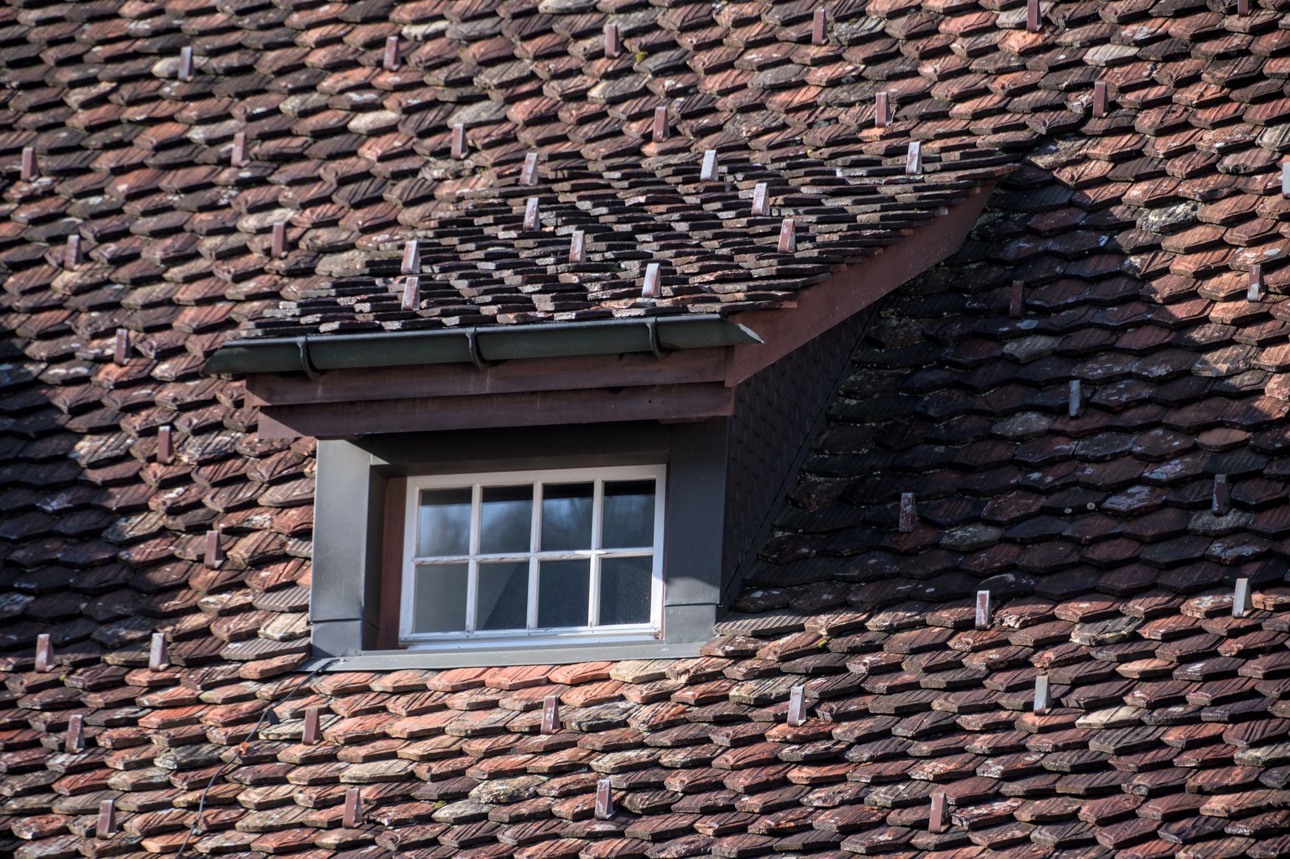 A tiled roof with a dormer window