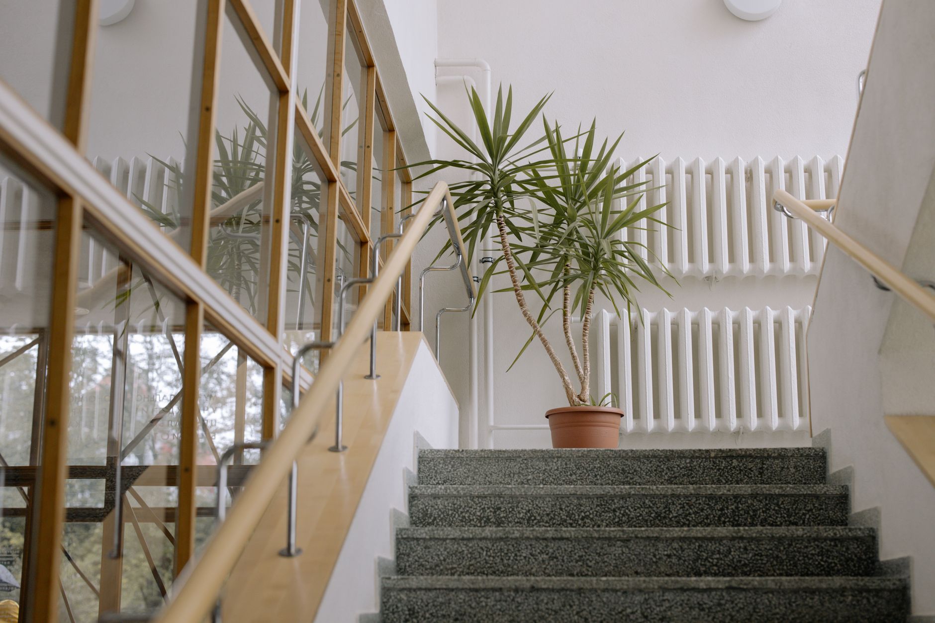 An indoor staircase with handrails