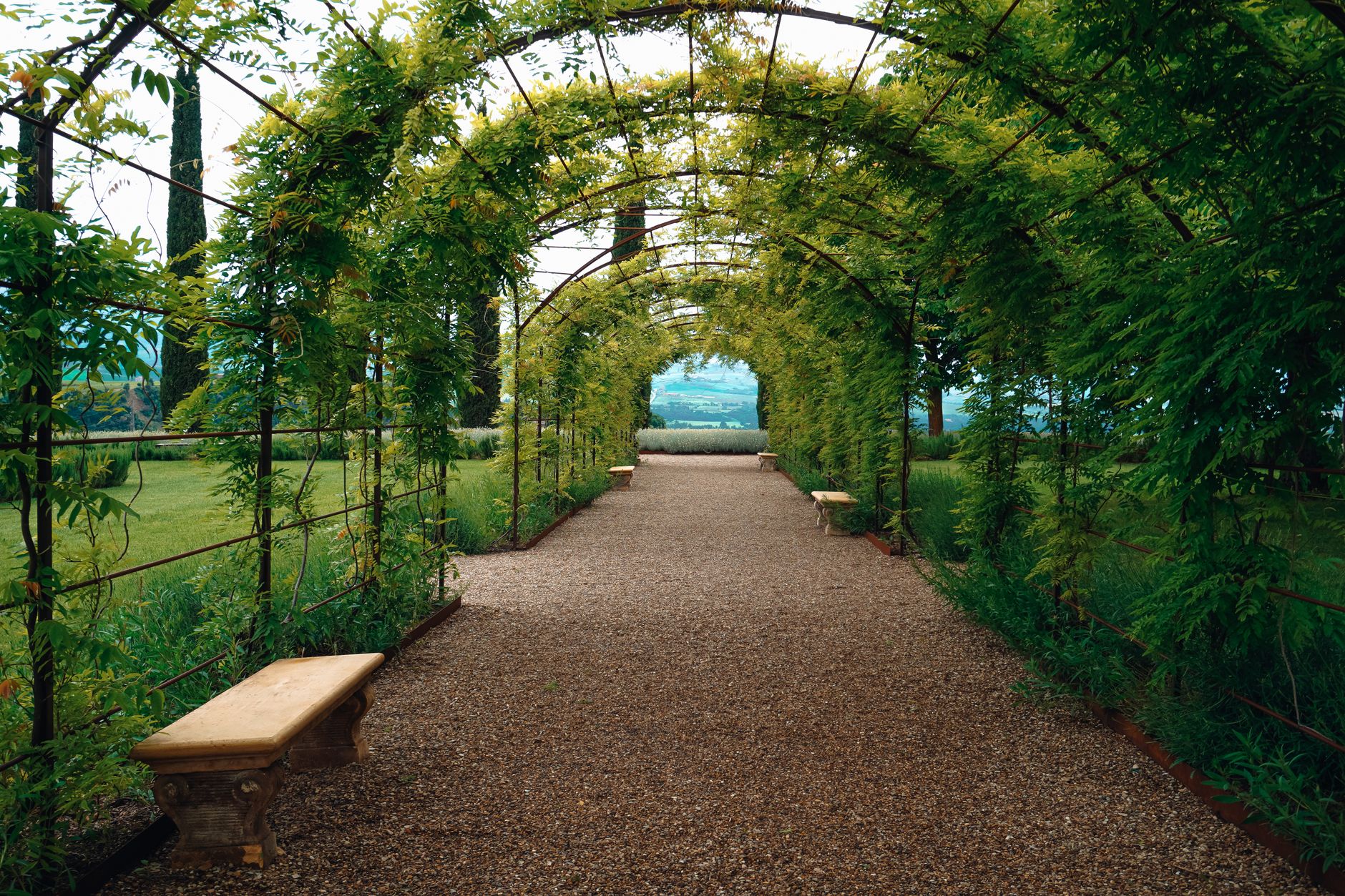 A gravel path running through a backyard garden