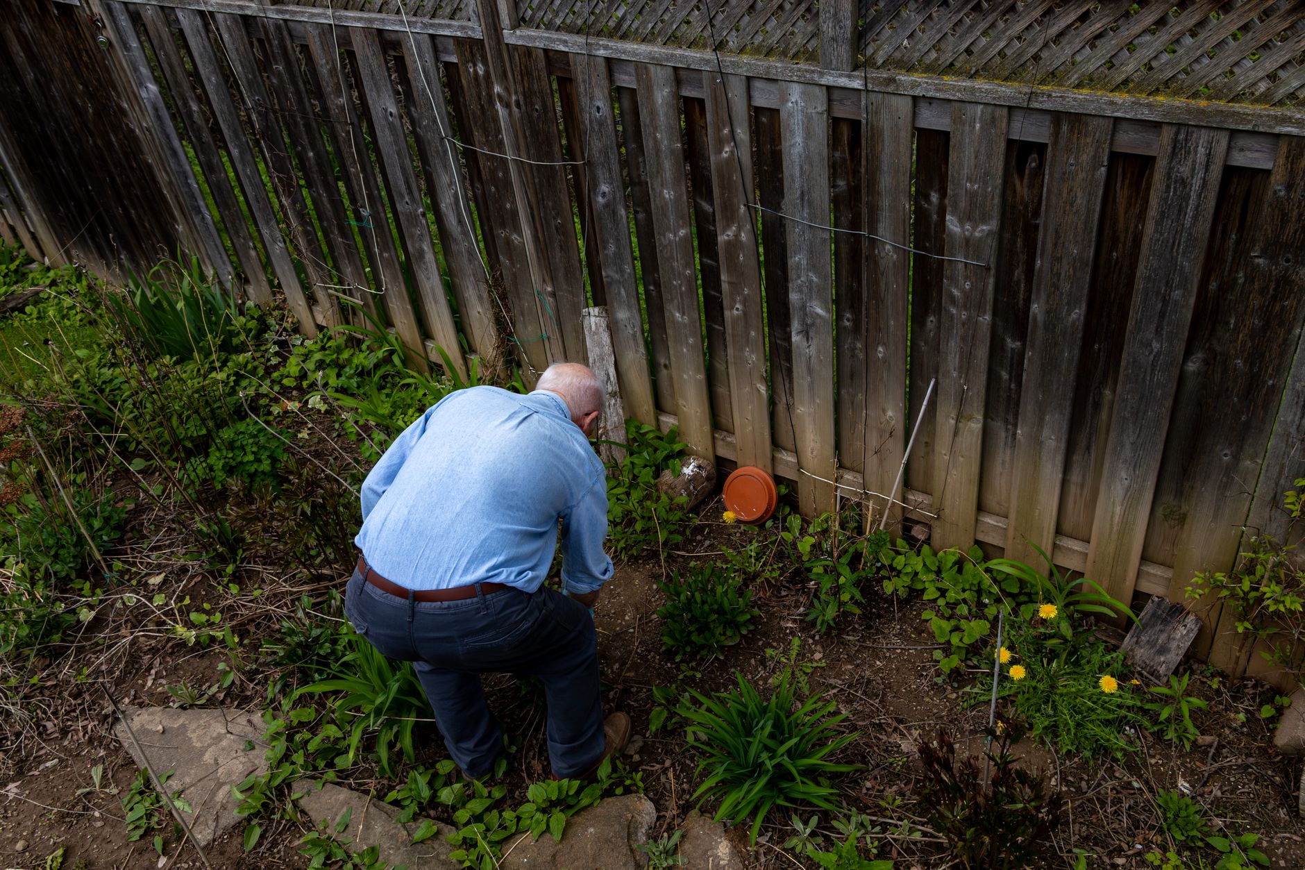 A gardener kneeling to work in a garden bed