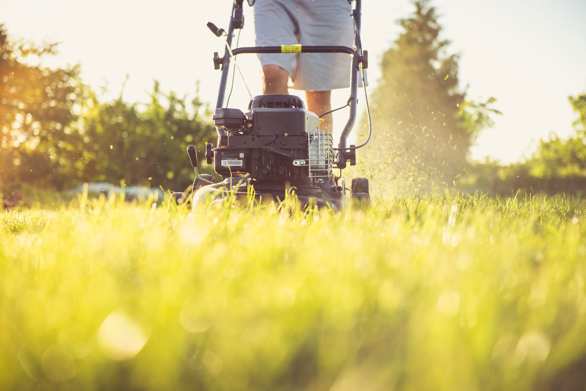 A person mowing a lawn in summer