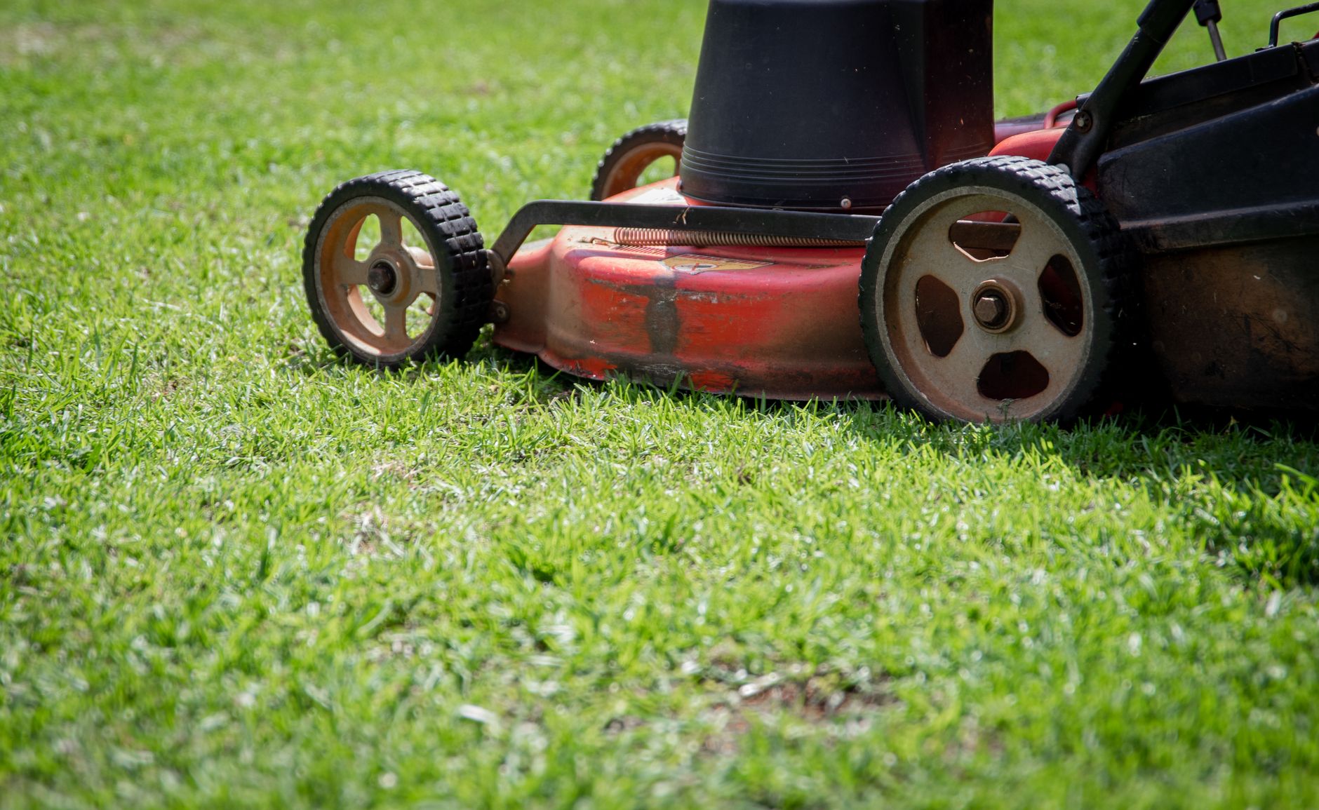 A red lawn mower on grass