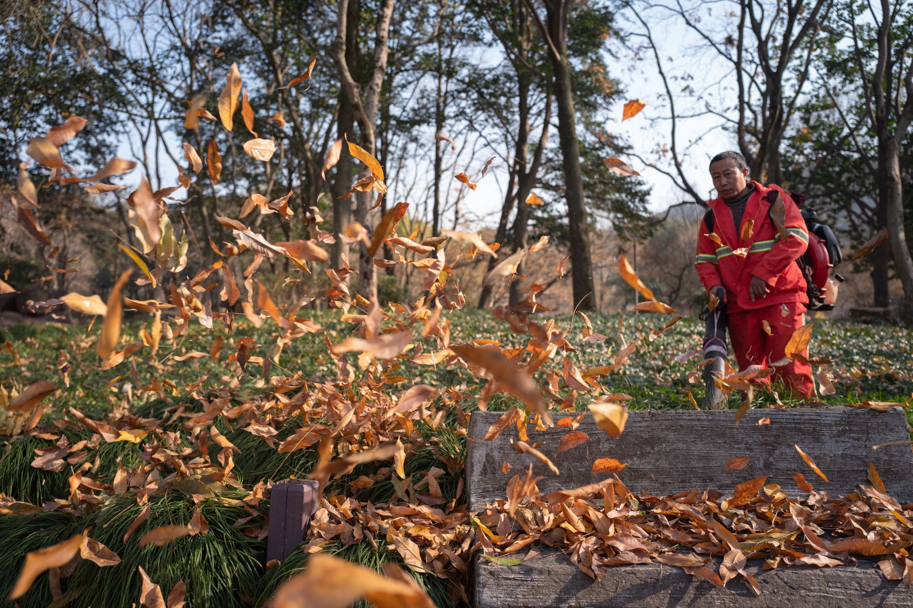 Best leaf blower vacuum: a worker blowing autumn leaves