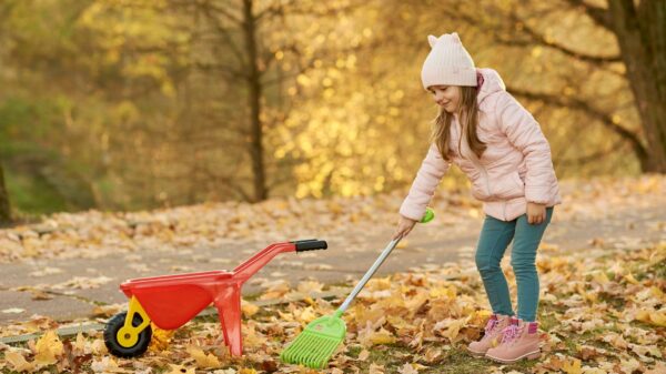 Best leaf rake: a rake resting on a lawn covered in autumn leaves