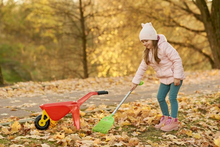 Best leaf rake: a rake resting on a lawn covered in autumn leaves