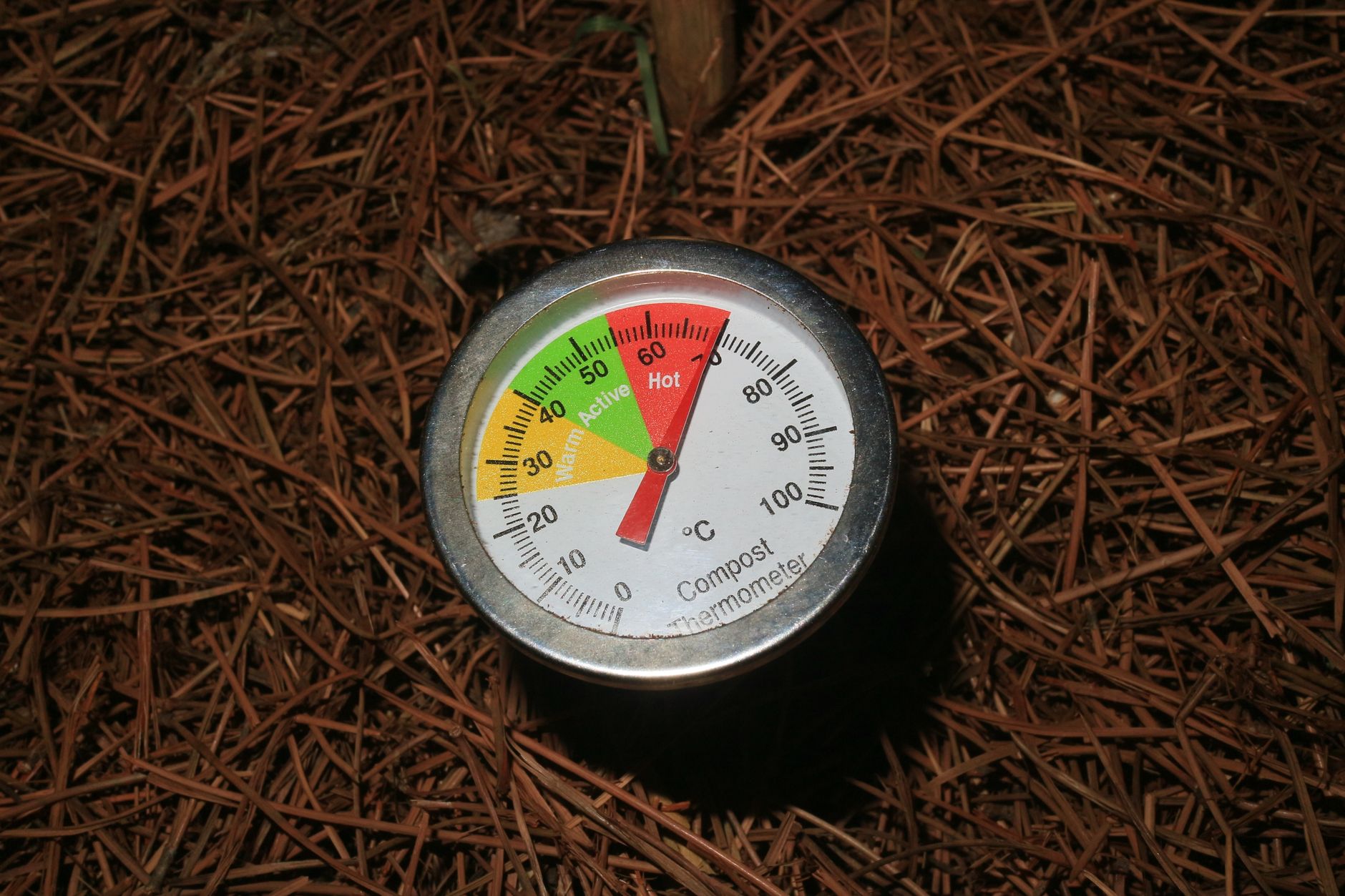 A backyard compost pile