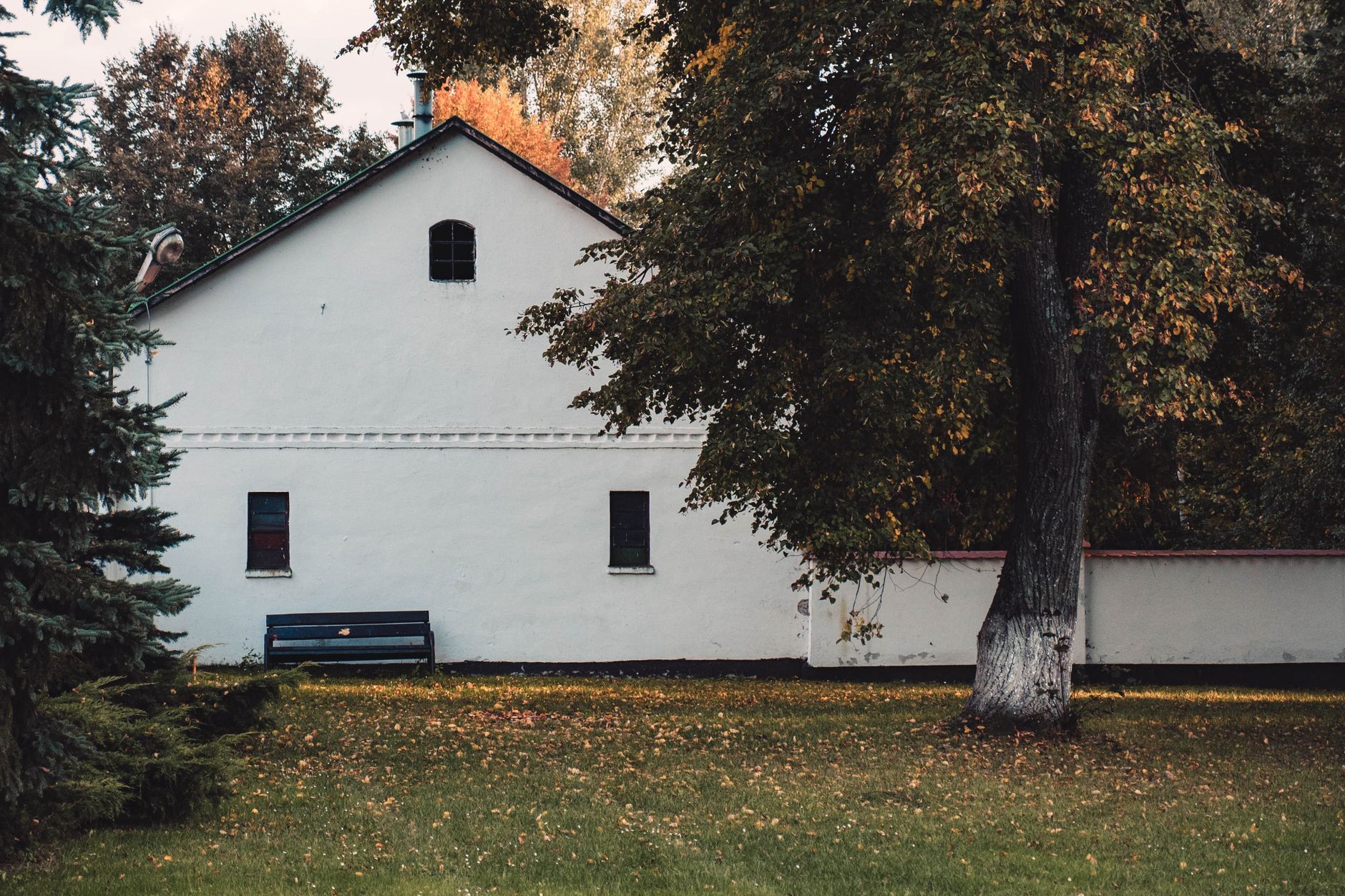 A house and yard in autumn