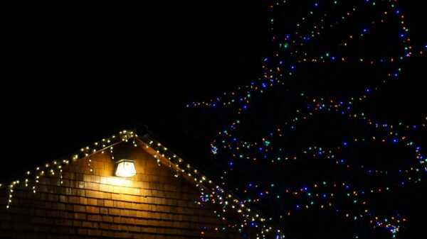 Best christmas light clips: lights along a roofline and tree at night