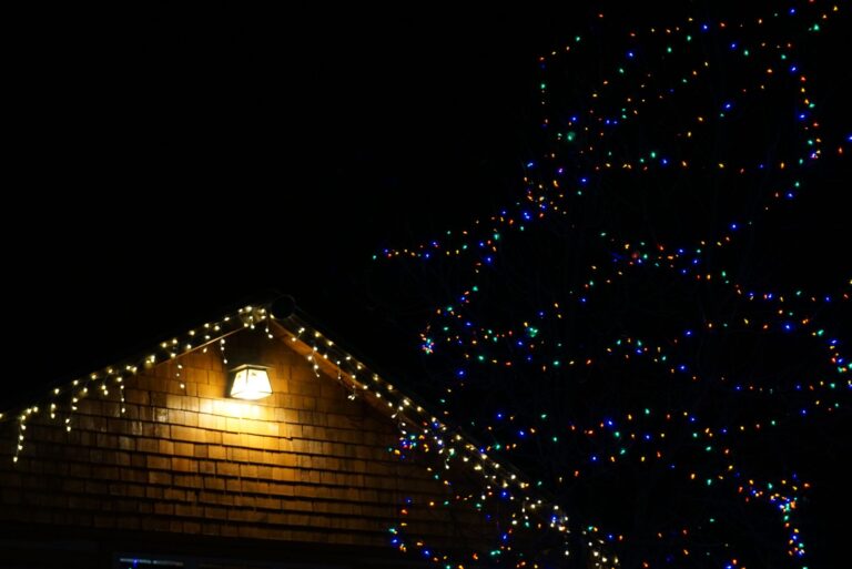Best christmas light clips: lights along a roofline and tree at night