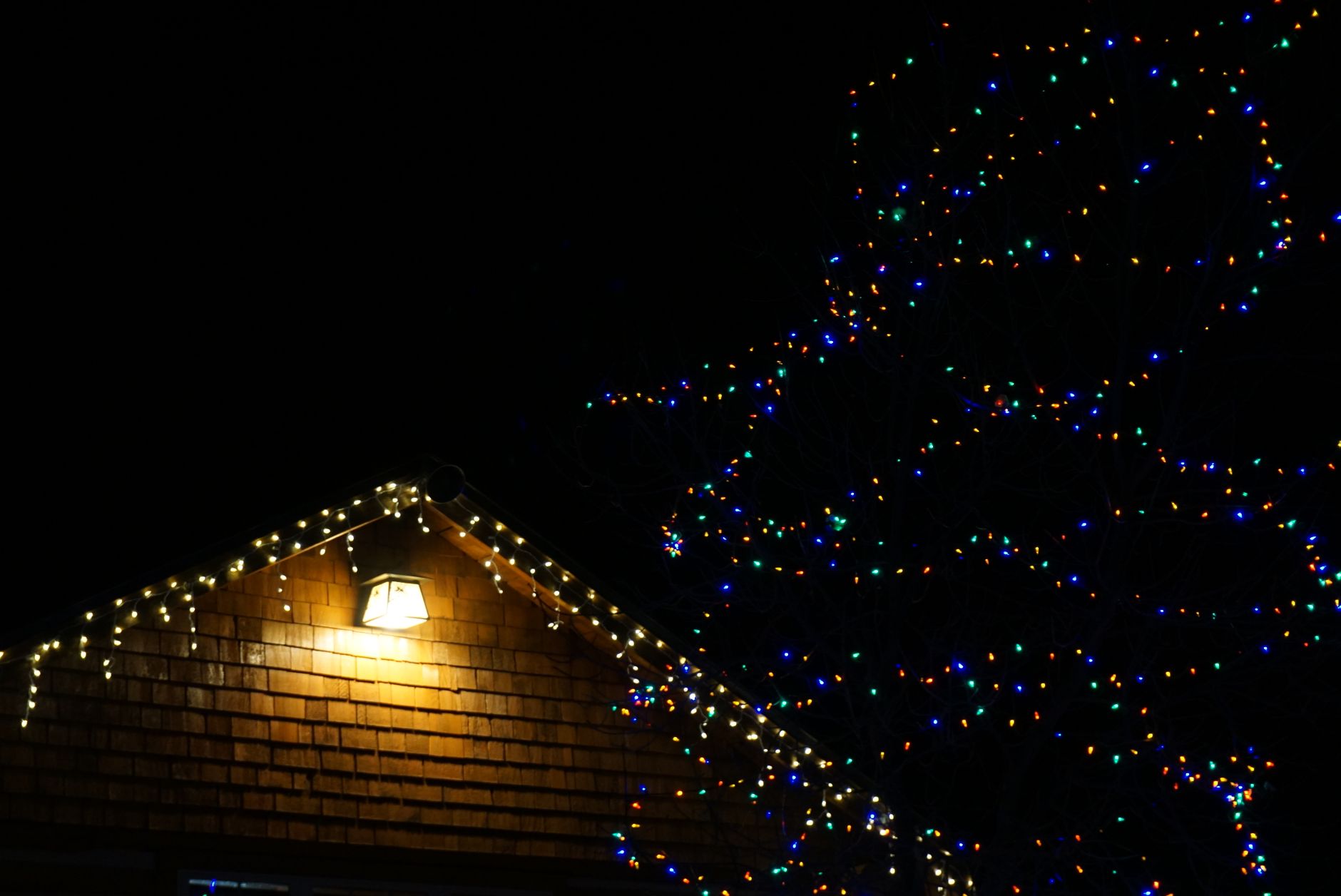 Best christmas light clips: lights along a roofline and tree at night