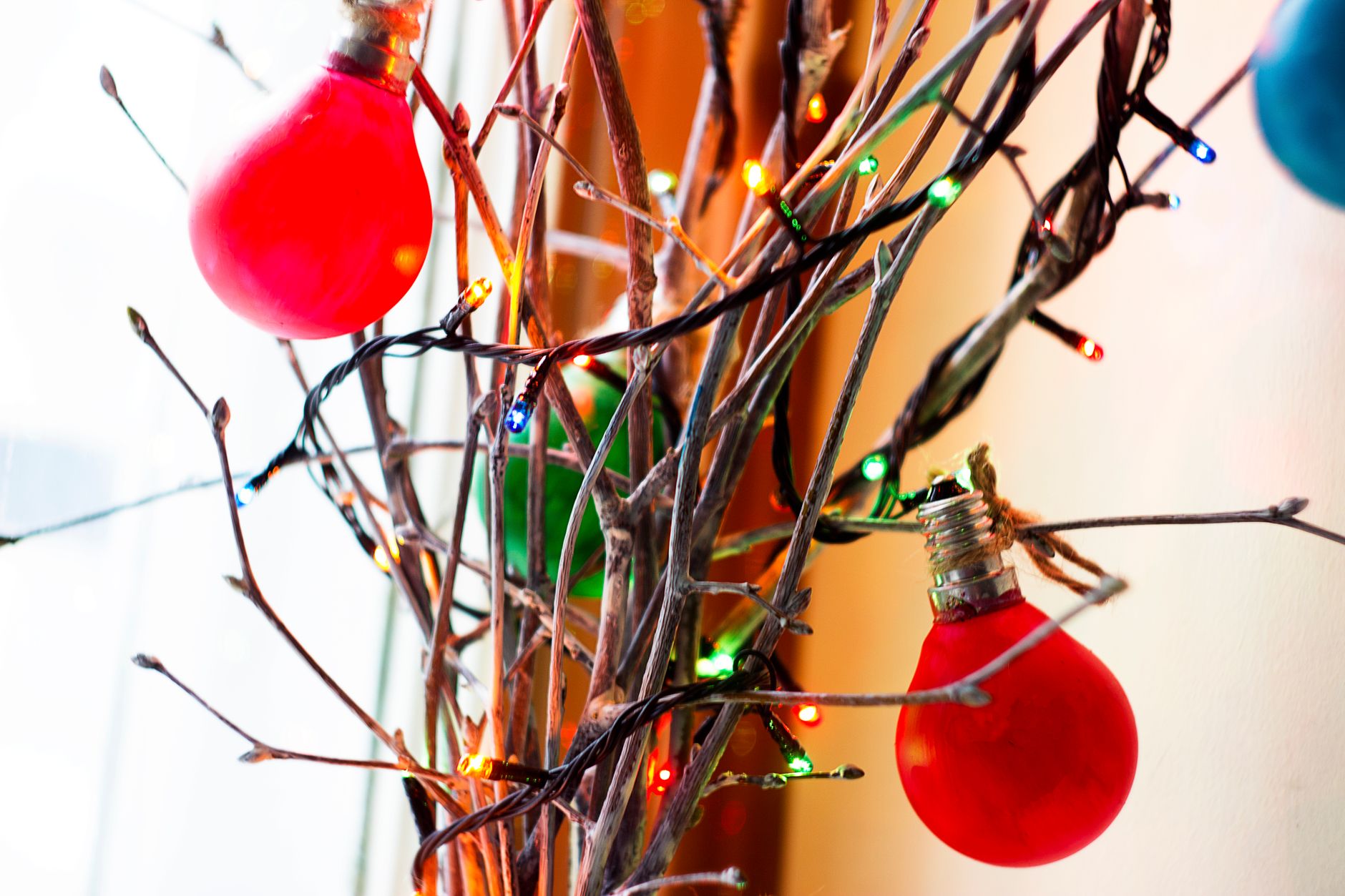 Colorful bulbs strung on branches