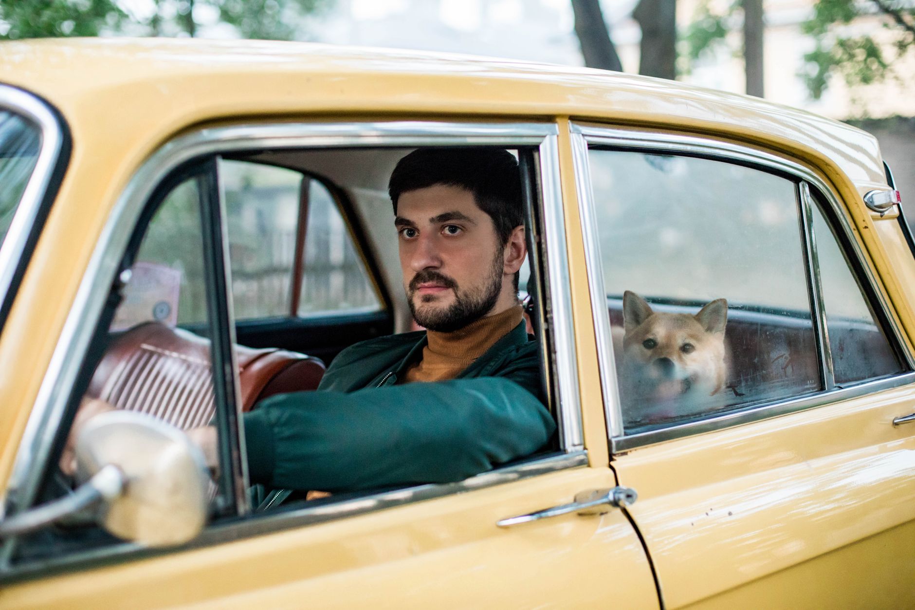 A man driving with a dog in the back seat