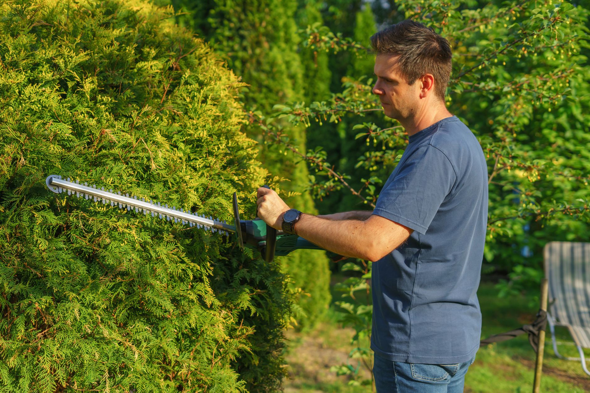 A gardener trimming shrubs