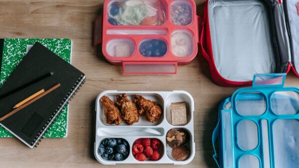 Packed bento boxes and lunch bags on a table